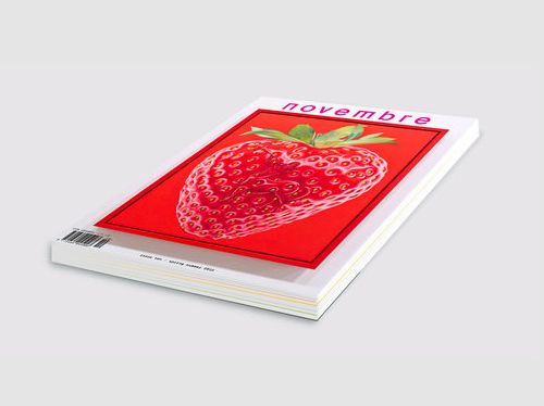 Novembre N°10